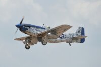 Phoenix Mustang P51 GP/EP 61CC SCALE 20% ARF Carbon - 222 cm