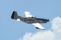 Phoenix Mustang P51 GP/EP 61CC SCALE 20% ARF Carbon - 222 cm