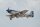 Phoenix Mustang P51 GP/EP 61CC SCALE 20% ARF Carbon - 222 cm