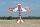 Phoenix SLICK 580 rot GP 120CC ARF Carbon - 255 cm