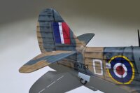 Phoenix P40 Warhawk GP/EP 35-55CC ARF Carbon - 204 cm