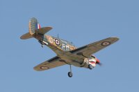 Phoenix P40 Warhawk GP/EP 35-55CC ARF Carbon - 204 cm