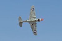 Phoenix P40 Warhawk GP/EP 35-55CC ARF Carbon - 204 cm