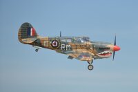 Phoenix P40 Warhawk GP/EP 35-55CC ARF Carbon - 204 cm