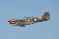 Phoenix P40 Warhawk GP/EP 35-55CC ARF Carbon - 204 cm
