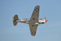 Phoenix P40 Warhawk GP/EP 35-55CC ARF Carbon - 204 cm