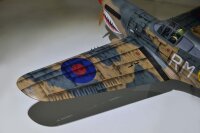 Phoenix P40 Warhawk GP/EP 35-55CC ARF Carbon - 204 cm