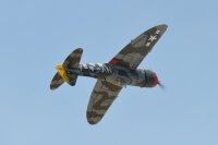 Phoenix P47 Thunderbolt GP/EP 35-55CC ARF Carbon - 201 cm