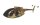 Krick2&9 Zelle Desert tarnf. kpl.