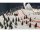 KrickScenic Snow Set DELUXE BD29