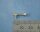 KrickSignalhorn Metall 5x15 mm (2)