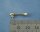 KrickSignalhorn Metall 6x20 mm (2)