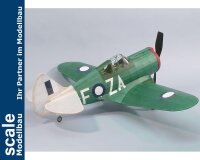 KrickCA-12 Boomerang Balsabausatz
