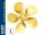 KrickMS-Propeller Serie 181 5Bl-55-L-M4