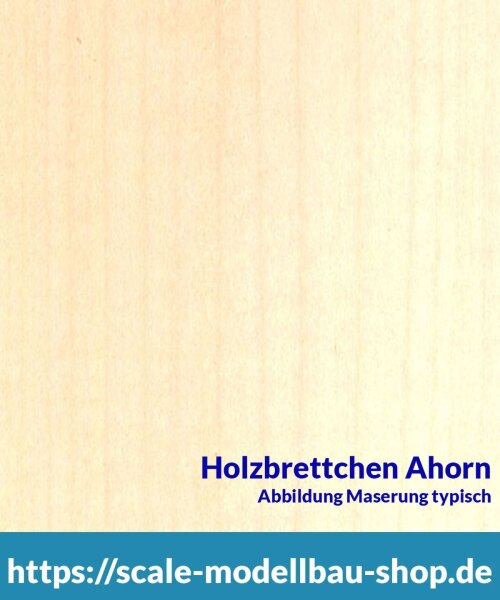 Ahorn Brettchen 100 x 1000 x  5 mm  (  )
