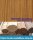 Amazakoue Holzleiste  5 x  8 mm  (  )
