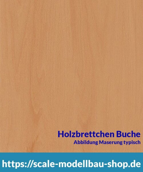 Buche Brettchen 100 x 1000 x  2 mm  (  )