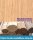 Eiche Holzleiste  1 x  1 mm  (  )
