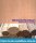 Kirschbaum Holzleiste  5 x  15 mm  (  )