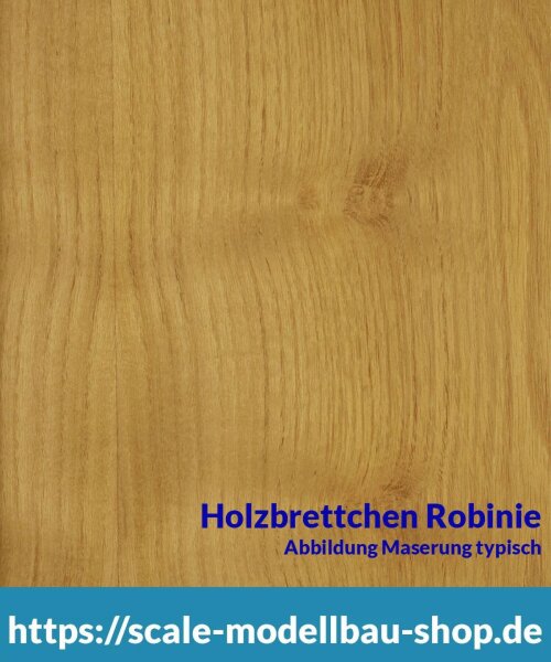 Robinie Brettchen 100 x 1000 x 10 mm  (  )