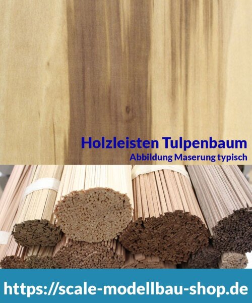 Tulpenbaum Holzleiste  2 x  7 mm  (  )