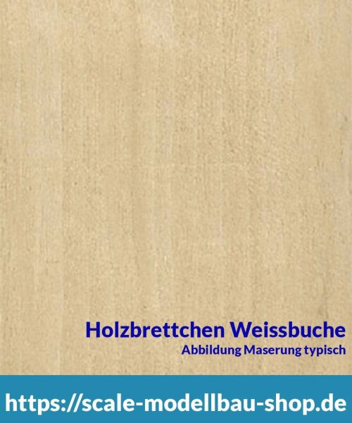 Weißbuche Brettchen 100 x 1000 x  5 mm  (  )