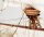Baukasten span. Galeone "San Martin" (1580) Maßstab 1:90 OcCre  (  )