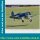 Bauplan Chance Vought F4U-1 Corsair Spannweite ca. 2134 mm  (  )