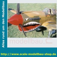 Bauplan Curtiss P40D Kittyhawk Spannweite 2388mm  (  )