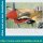 Bauplan Curtiss P40D Kittyhawk Spannweite 2388mm  (  )
