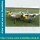 Bauplan Lockheed P38 Lightning Spannweite ca. 1880 mm  (  )