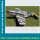 Bauplan Curtiss P40E Kittyhawk Spannweite 1676 mm  (  )
