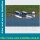 Bauplan Grumman G-44 Widgeon Spannweite ca. 2030 mm  (  )