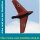 Bauplan Messerschmitt ME-163B-1A Spannweite ca. 2110 mm  (  )