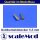 scaleMod Goldkontaktstecker 5,5 mm Stecker/Buchse (5 Paar)  ( SC.10.0005 )