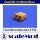 scaleMod Hochstrombuchse XT90 (5 Stk)  ( SC.10.0033 )
