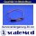 scaleMod Servoverlängerung 26AWG 30cm (5 Stk)  ( SC.11.0005 )
