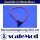 scaleMod Servoverlängerung 26AWG Twisted 30cm (5 Stk)  ( SC.11.0012 )