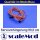 scaleMod Servoverlängerung 26AWG Twisted 100cm (5 Stk)  ( SC.11.0016 )