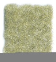 Wild-Gras, Winter, 12 mm