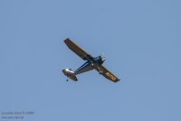 Luscombe Silvaire 8