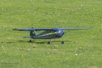 Luscombe Silvaire 8