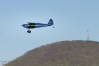 Luscombe Silvaire 8