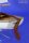 Hansajolle Segelboot