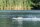 RX-3 Sportboot, Bausatz